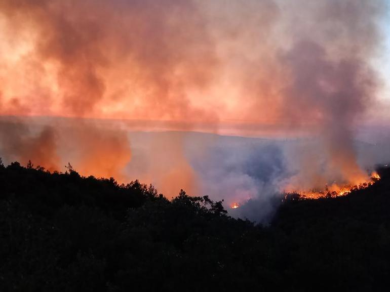 Balıkesirde orman yangını