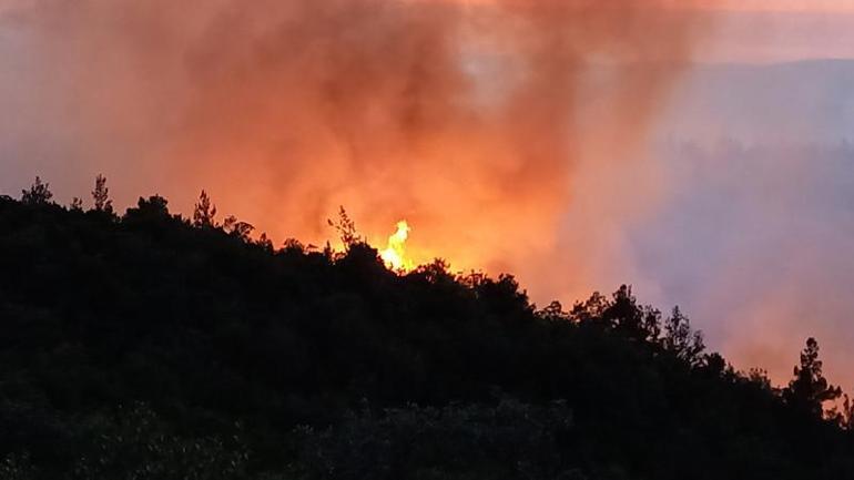 Balıkesirde orman yangını