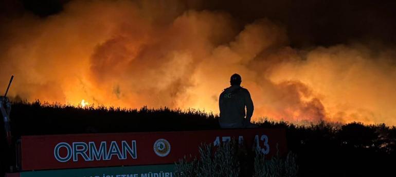 Tekirdağdaki orman yangını kontrol altına alındı
