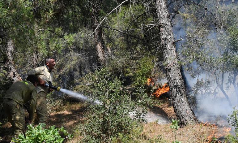 Tekirdağdaki orman yangını kontrol altına alındı