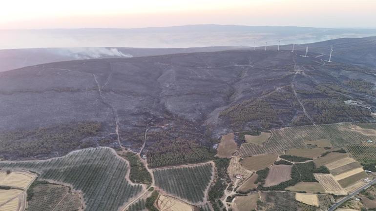 Tekirdağdaki orman yangını kontrol altına alındı