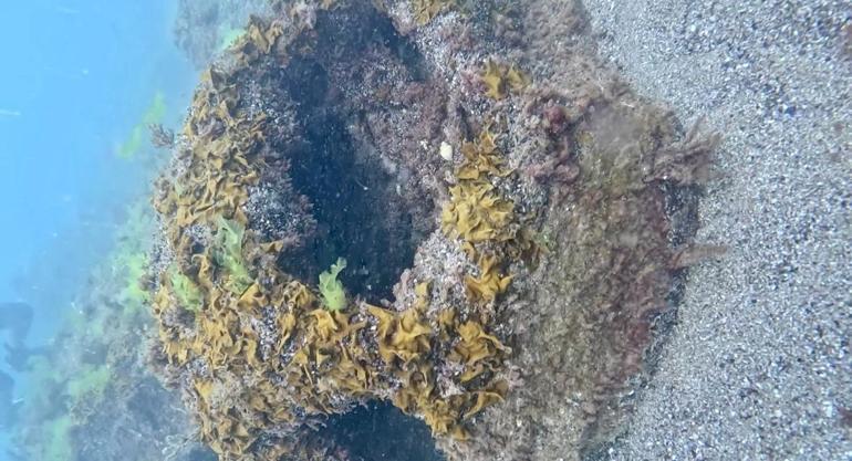 Ordu’da, denizde patlamış mayın bulundu