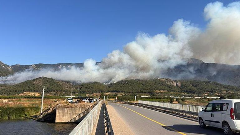 Sakaryada orman yangını; alevler rüzgarın etkisiyle yayılıyor