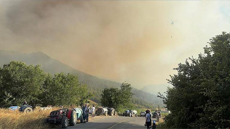 Sakaryada orman yangını; alevler rüzgarın etkisiyle yayılıyor