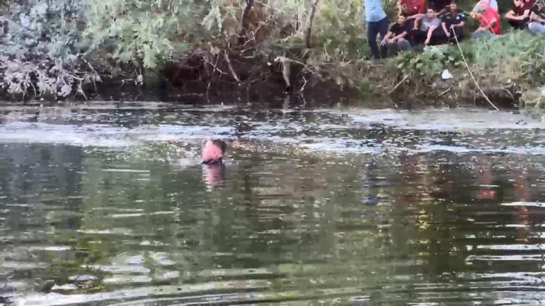 Eskişehir’de Sakarya Nehri’ne giren 2 kişi boğuldu
