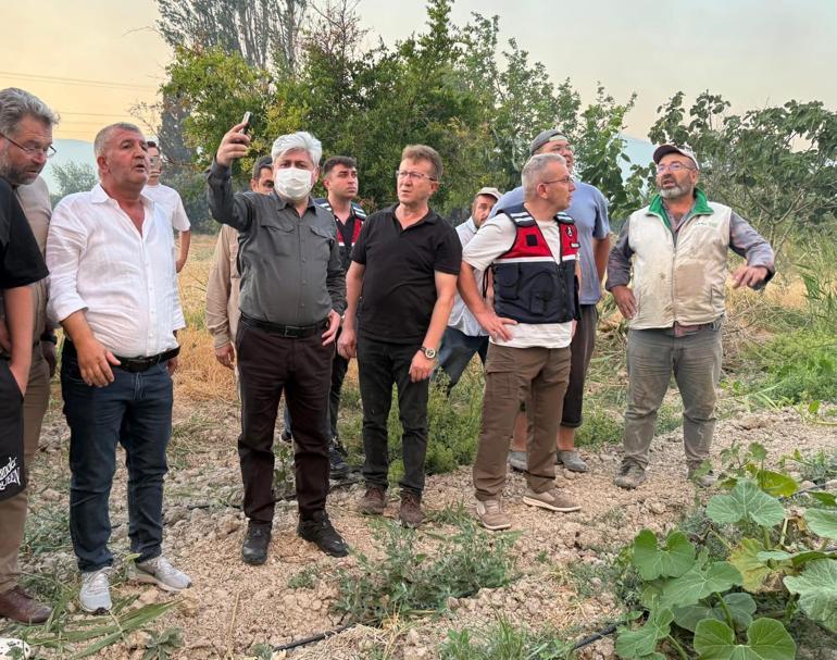 Sakaryada orman yangını; alevler rüzgarın etkisiyle yayılıyor