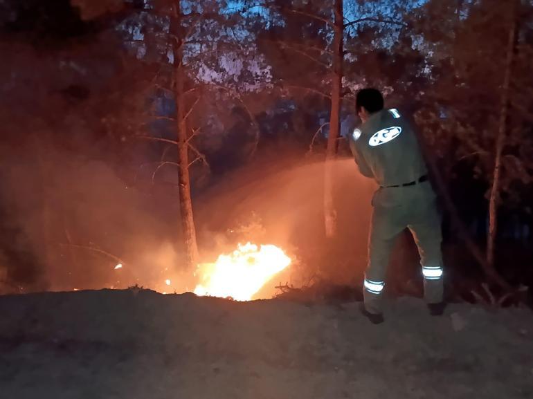 Sakaryada orman yangını; alevler rüzgarın etkisiyle yayılıyor