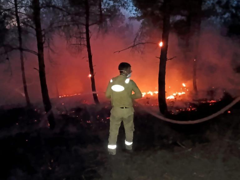 Sakaryada orman yangını; alevler rüzgarın etkisiyle yayılıyor