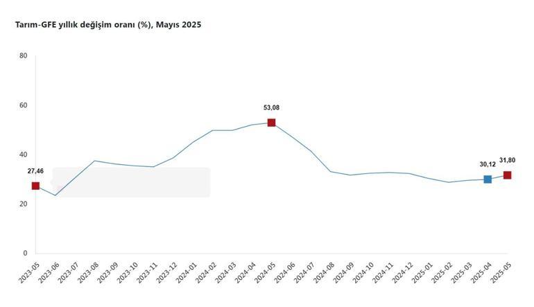 TÜİK: Tarımsal girdi fiyatları mayısta arttı