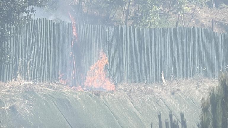 Kağıthanede ağaçlık alanda yangın; polis itfaiye hortumuyla, çevredekiler damacanayla müdahale etti