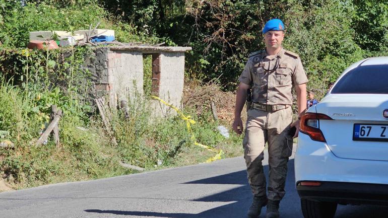 Babaanne ve 2 torununu, kardeşini dövdükleri için bıçaklamış