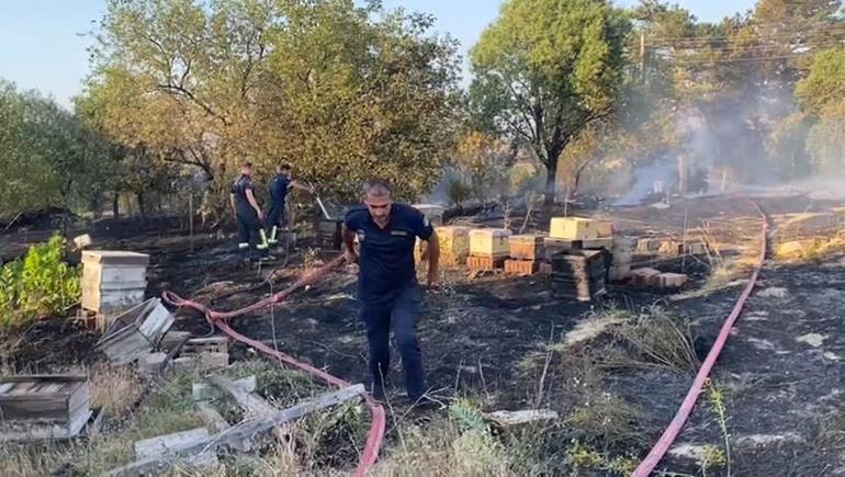 Elazığ’da anız yangını; arı kovanları ve ağaçlar zarar gördü