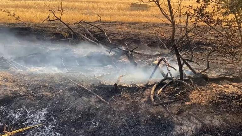 Elazığ’da anız yangını; arı kovanları ve ağaçlar zarar gördü