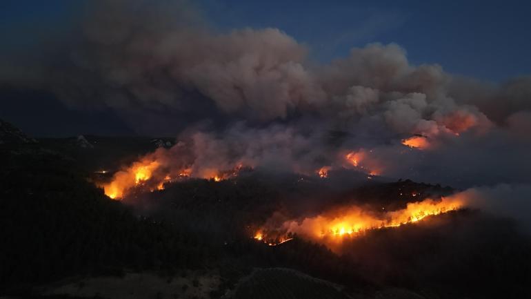Sakaryada orman yangını 2nci gününde