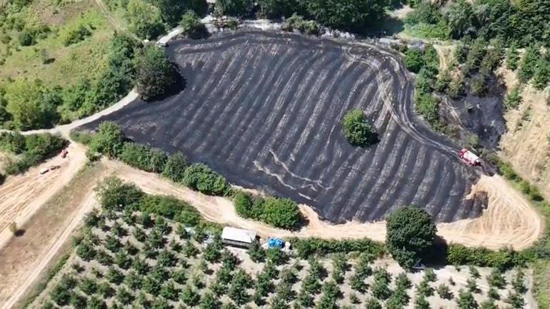 Bursada anız yangını; 30 dönüm alan zarar gördü