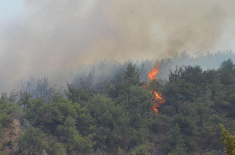 Sakaryadaki orman yangını 3üncü gününde