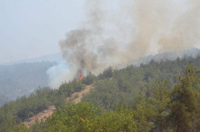 Sakaryadaki orman yangını 3üncü gününde