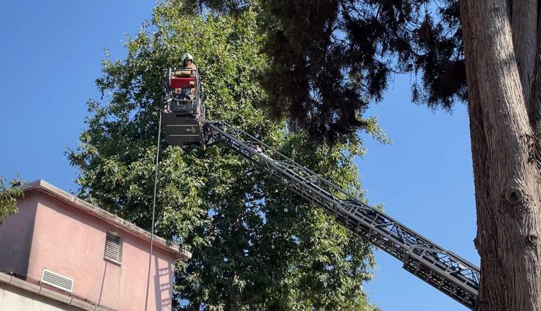 Baltalimanı Kemik Hastanesinde çıkan yangın söndürüldü