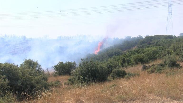 Başakşehirde otluk alanda çıkan yangın söndürüldü