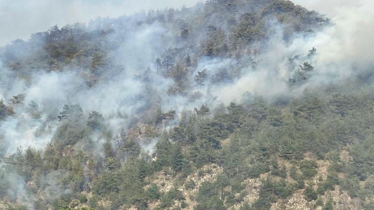 Karabükte orman yangını