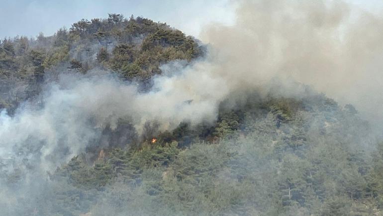Karabükte orman yangını