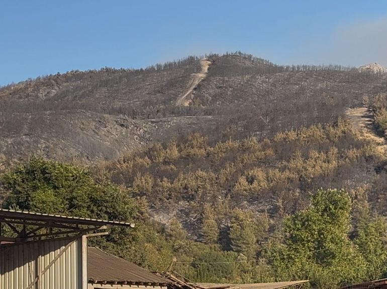 Sakarya Geyve’deki orman yangını 4’üncü günde kısmen kontrol altında