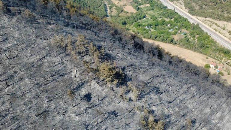Karabükte orman yangınına müdahale sürüyor; 55 hektar alan zarar gördü