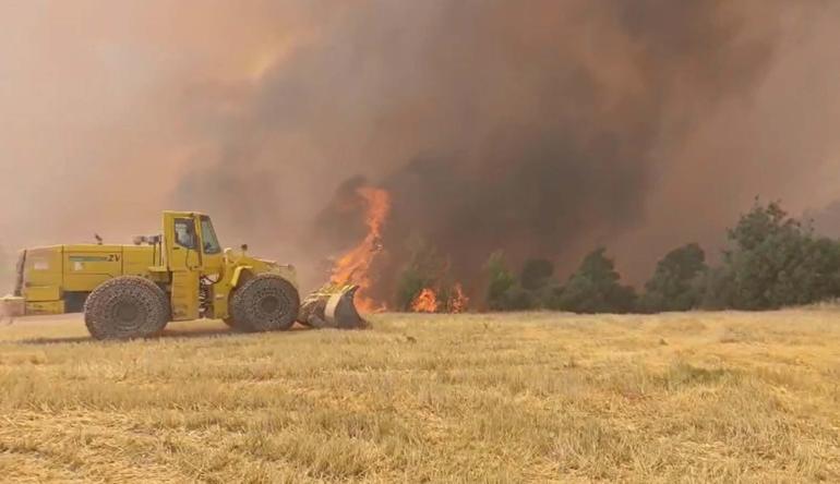 Denizlideki maki yangını kontrol altında