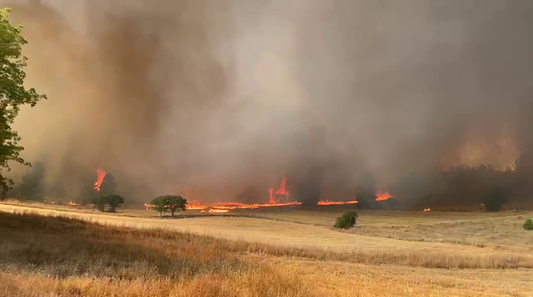 Karabükte orman yangınına müdahale sürüyor; 10 köy boşaltıldı, 55 hektar alan zarar gördü
