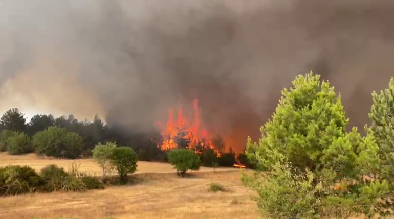 Karabükte orman yangınına müdahale sürüyor; 10 köy boşaltıldı, 55 hektar alan zarar gördü