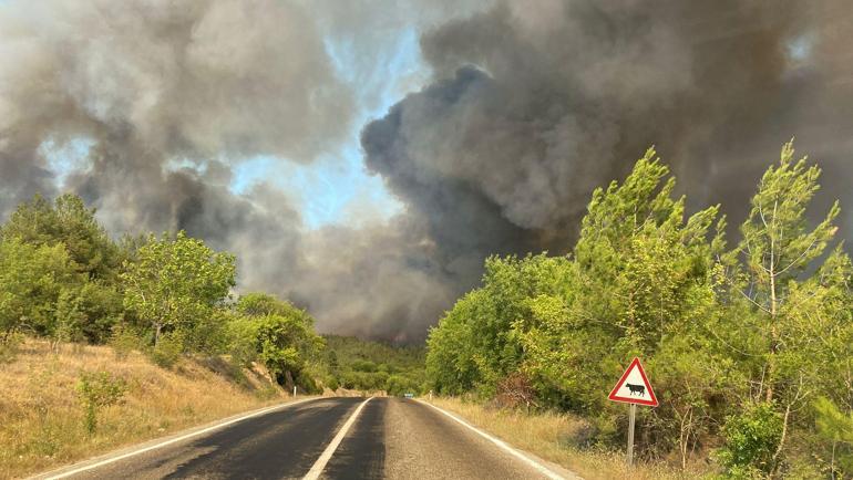 Karabükte orman yangınına müdahale sürüyor; 10 köy boşaltıldı, 55 hektar alan zarar gördü