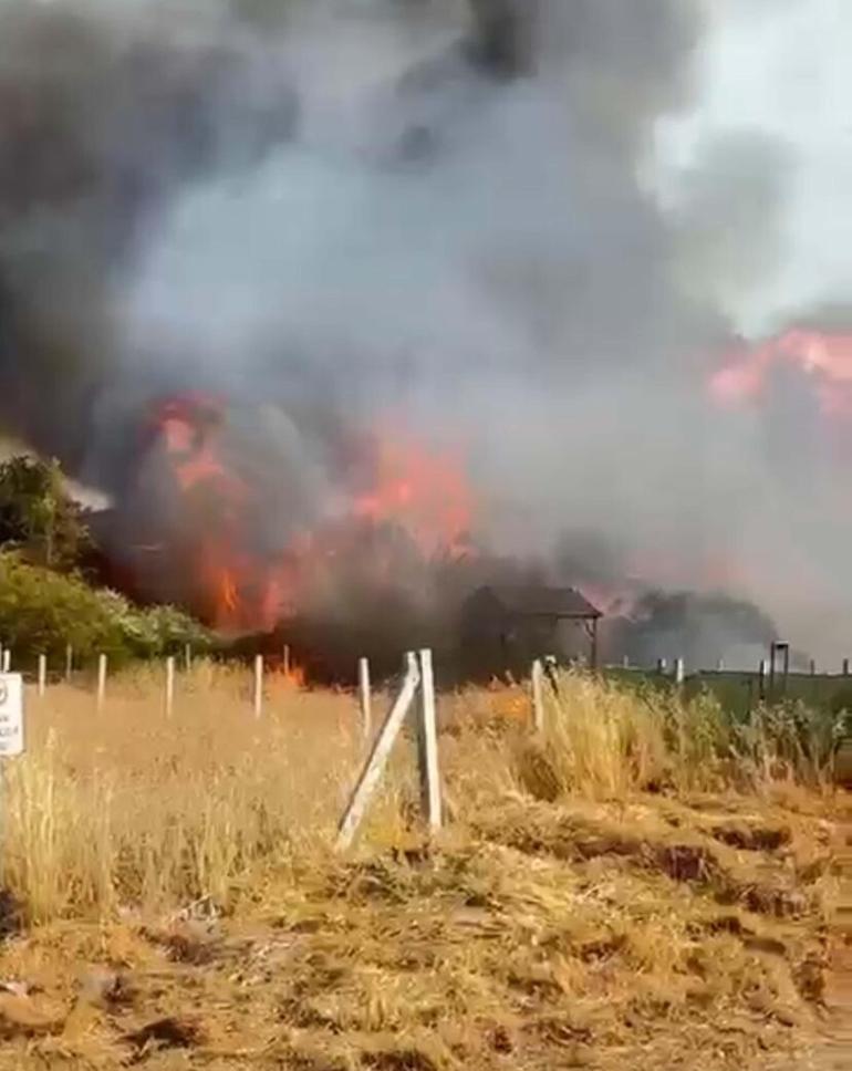 İzmir’de tarım arazisinde yangın