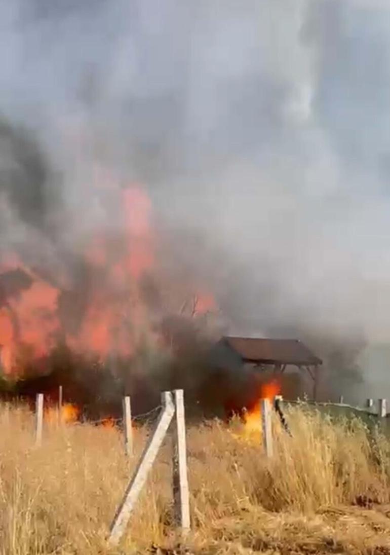 İzmir’de tarım arazisinde yangın