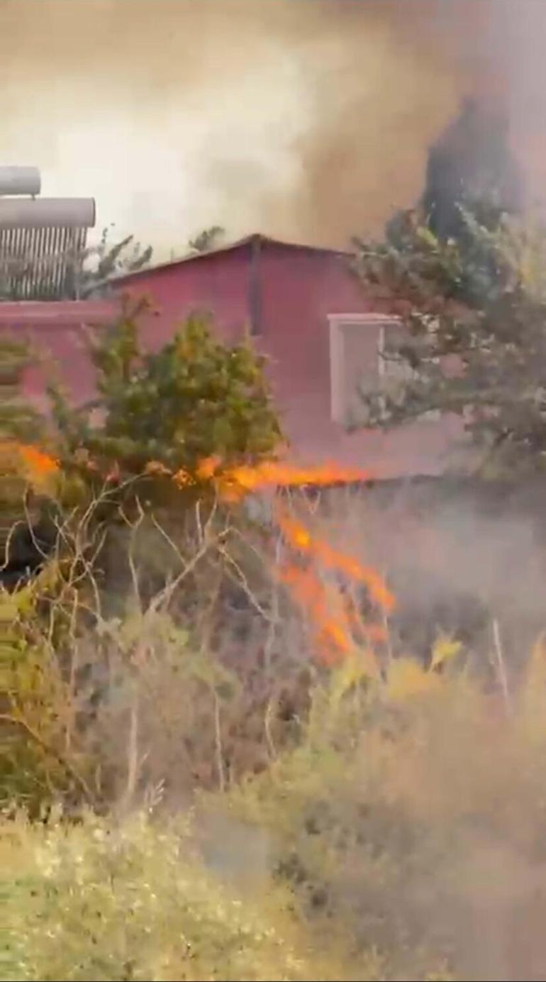 İzmir’de tarım arazisinde yangın