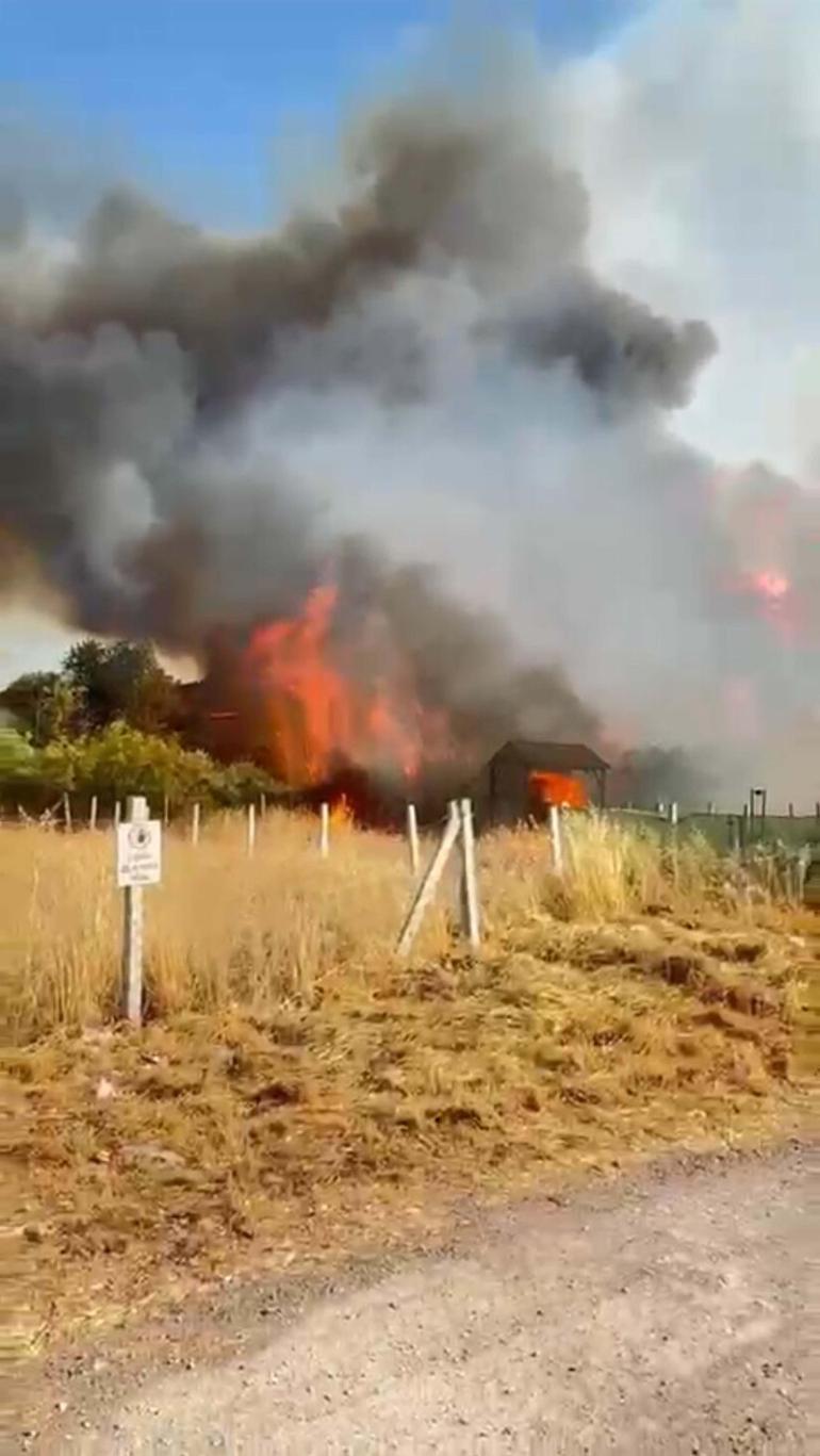 İzmir’de tarım arazisinde yangın