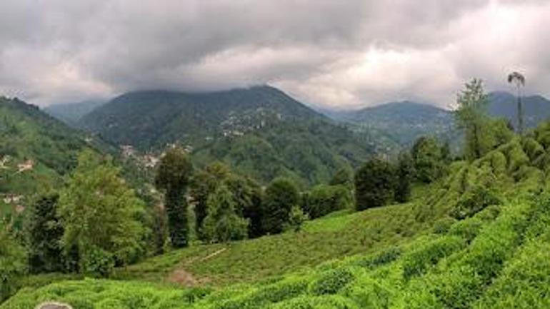 Vali Baydaş: Çay üreticisinin zarar göreceği sürece müdahil olacağız