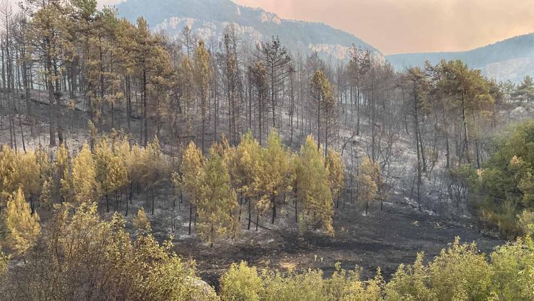 Karabükteki orman yangınlarına müdahale sürüyor