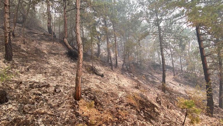 Karabükteki orman yangınlarına müdahale sürüyor