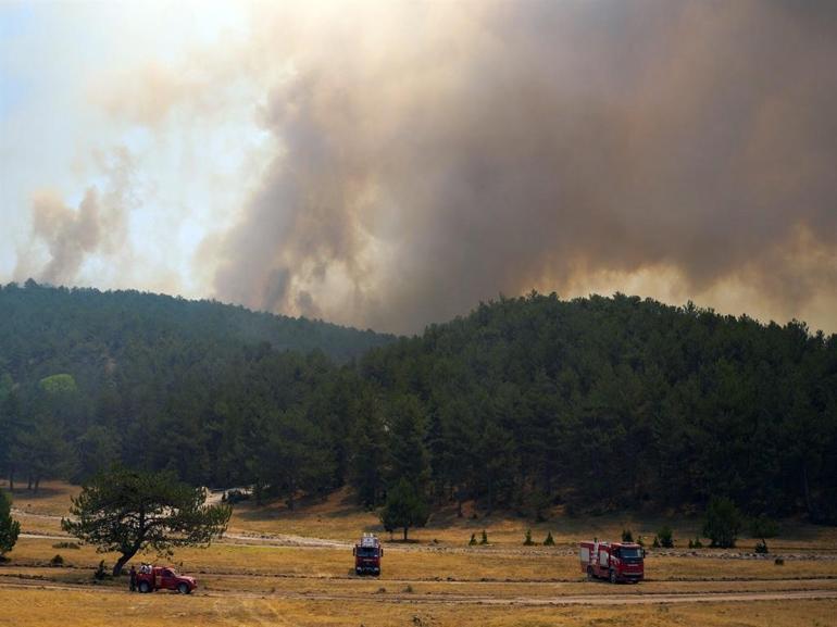 Eskişehirde çıkan orman yangını, 3üncü günde Afyonkarahisarda sürüyor