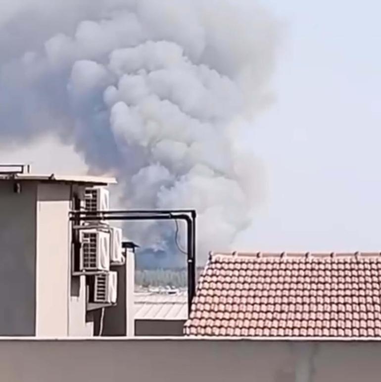 İzmir’de orman yangını kontrol altında