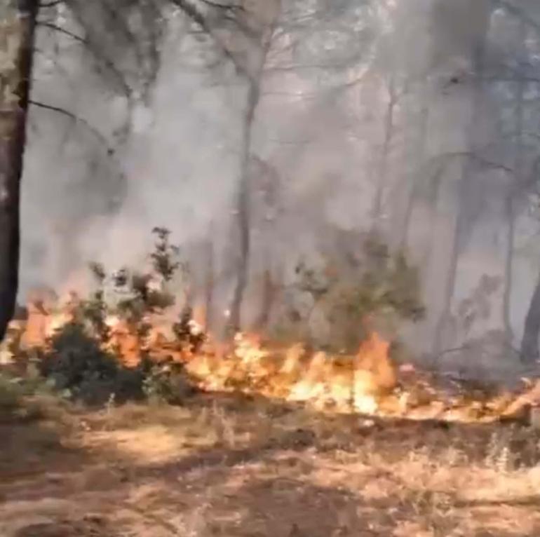 İzmir’de orman yangını kontrol altında