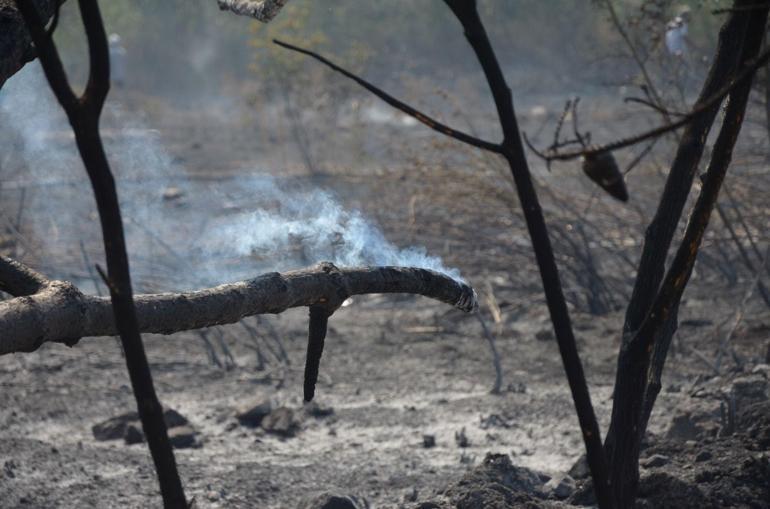Sakaryada yangınlar söndürüldü; Bayatta alevler kısmen kontrol altında
