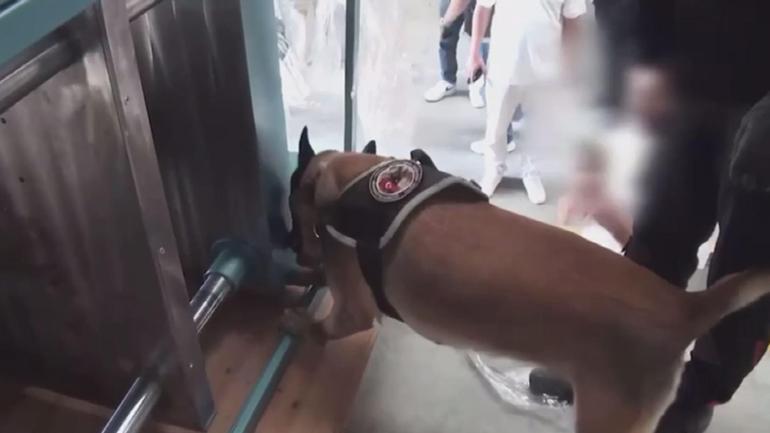 İstanbulda TIRda 60 kilogram kokain ele geçirildi; 1 gözaltı