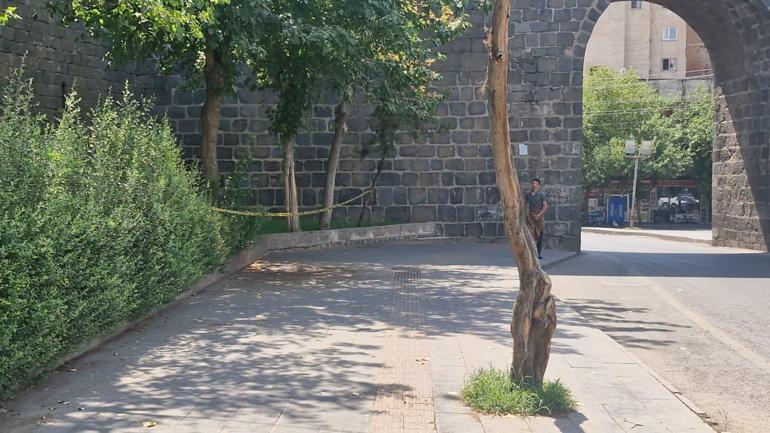 9 gün arayla öldürülen İlayda ve Helin’in katilleri yakın arkadaşmış