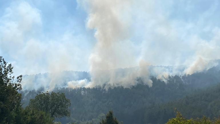 Karabükte orman yangınlarına müdahale sürüyor