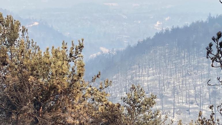 Karabükte orman yangınlarına müdahale sürüyor