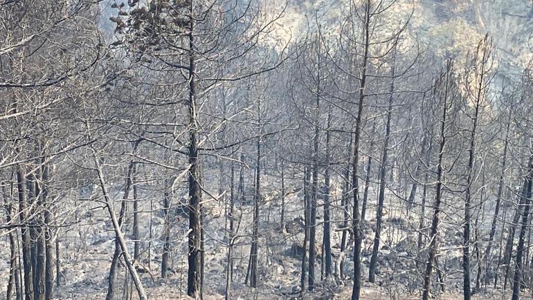 Karabükte orman yangınlarına müdahale sürüyor