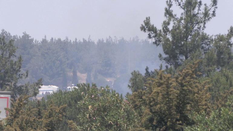 İzmir’de orman yangını