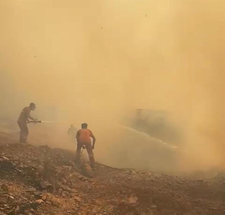 Akhisarda orman yangını