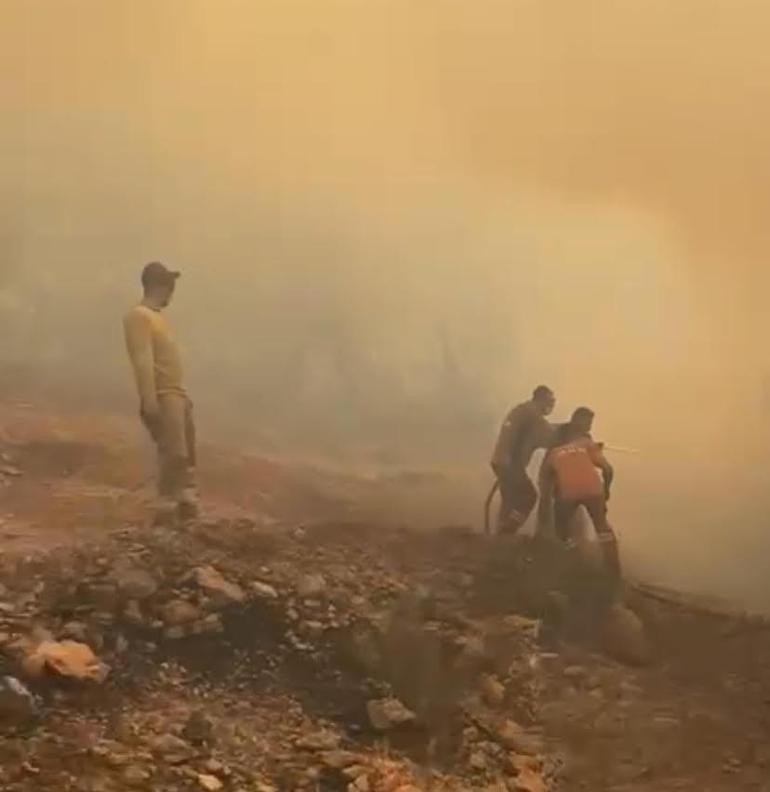 Akhisarda orman yangını